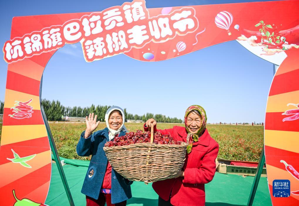 ag飞禽走兽